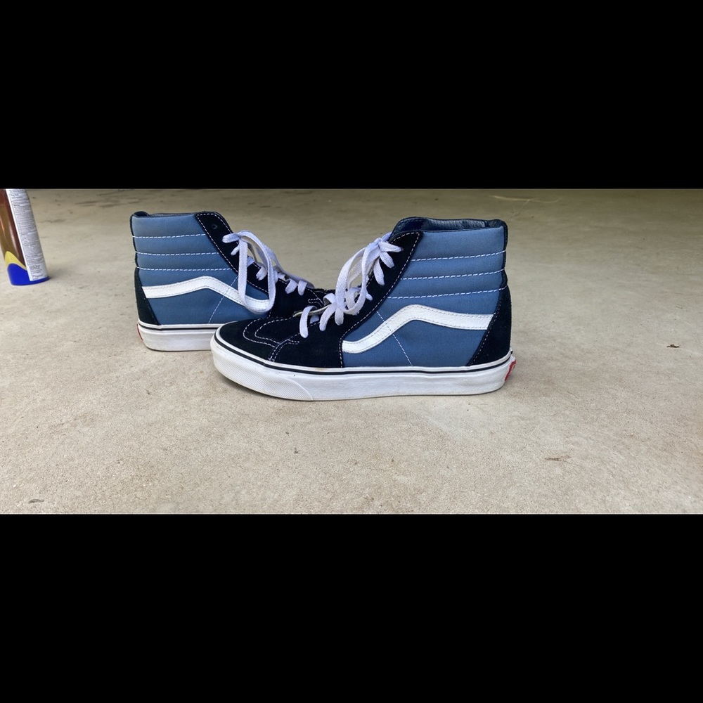 Vans Skater high tops
